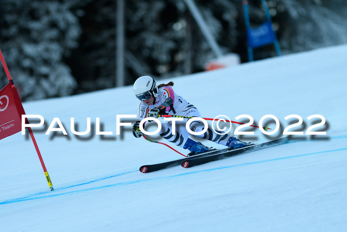 FIS AC NJC Damen + Herren Super-G