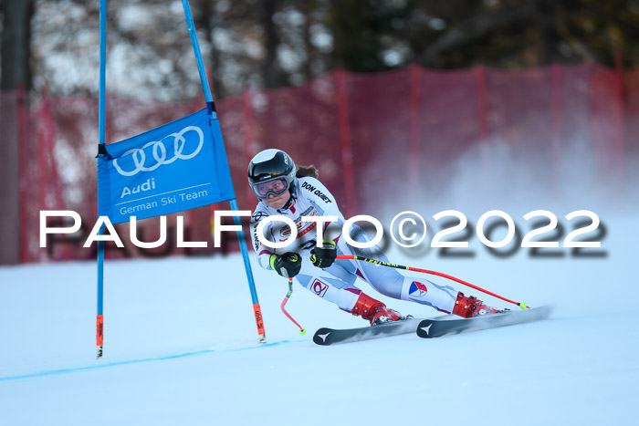 FIS AC NJC Damen + Herren Super-G