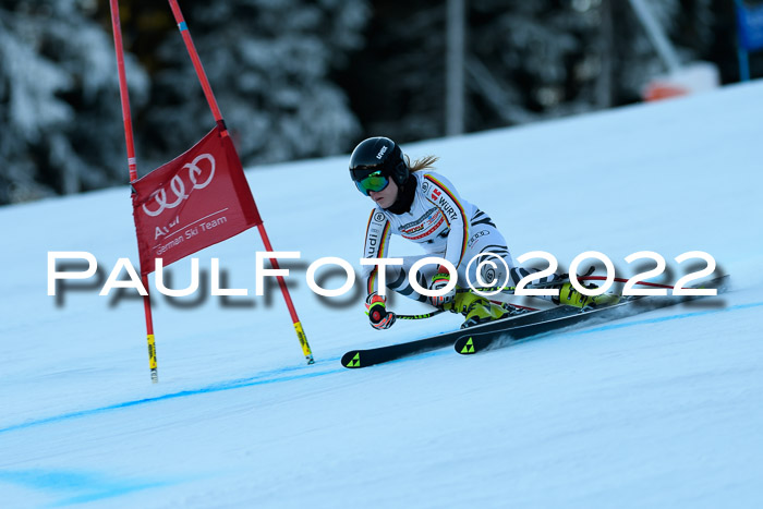 FIS AC NJC Damen + Herren Super-G