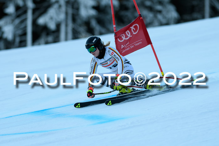 FIS AC NJC Damen + Herren Super-G