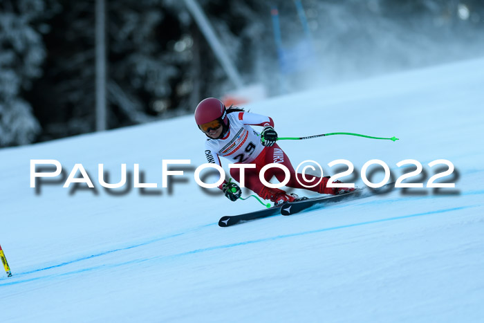 FIS AC NJC Damen + Herren Super-G