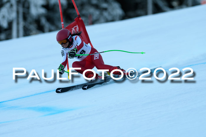 FIS AC NJC Damen + Herren Super-G