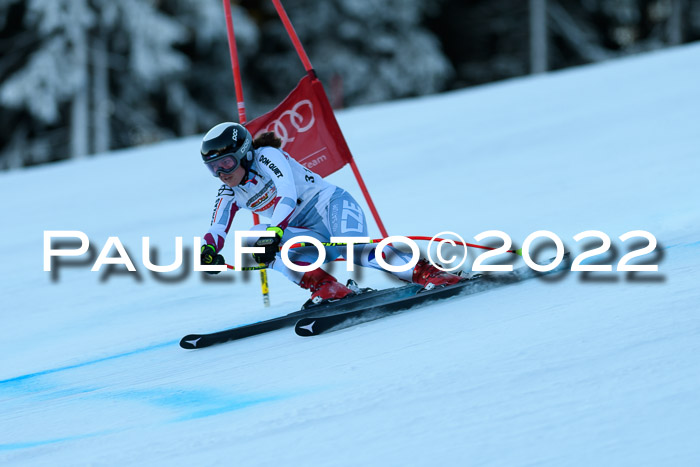 FIS AC NJC Damen + Herren Super-G