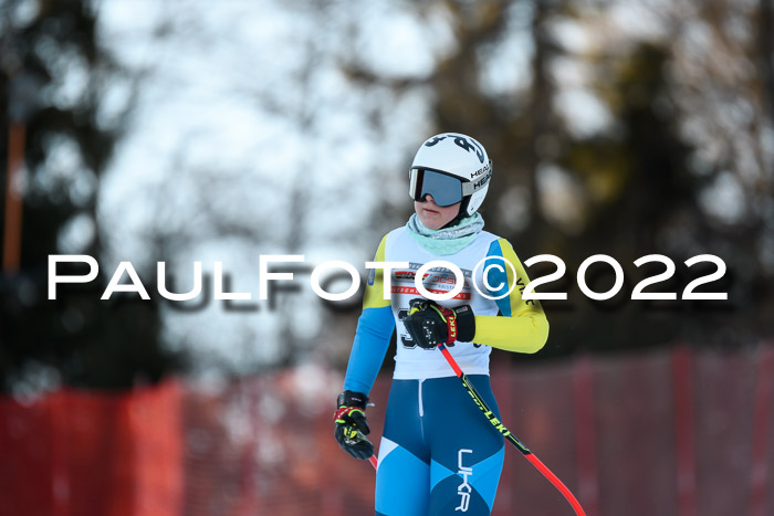 FIS AC NJC Damen + Herren Super-G