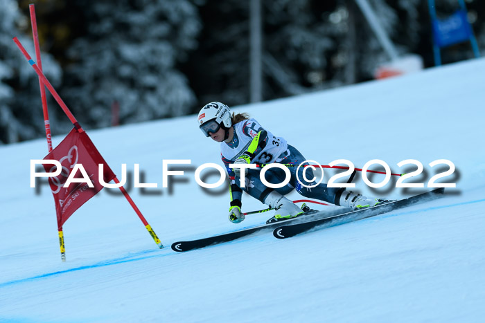 FIS AC NJC Damen + Herren Super-G
