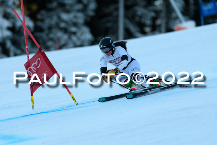 FIS AC NJC Damen + Herren Super-G