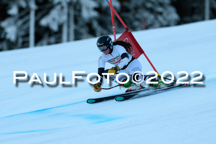 FIS AC NJC Damen + Herren Super-G