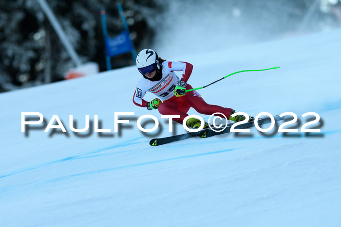 FIS AC NJC Damen + Herren Super-G