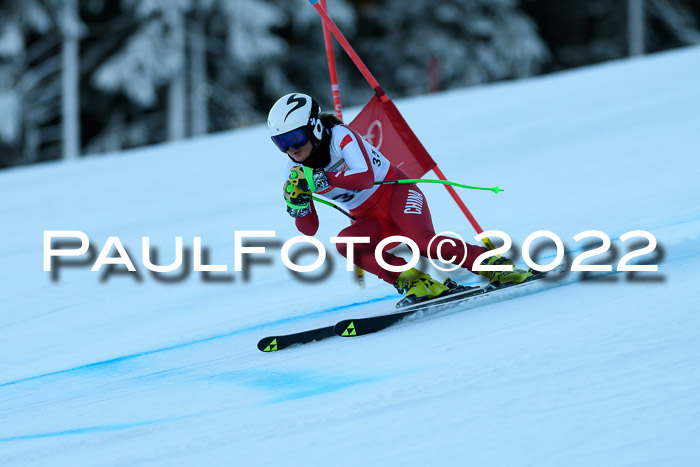 FIS AC NJC Damen + Herren Super-G