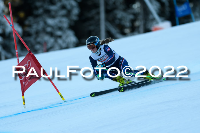 FIS AC NJC Damen + Herren Super-G