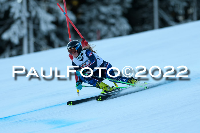 FIS AC NJC Damen + Herren Super-G