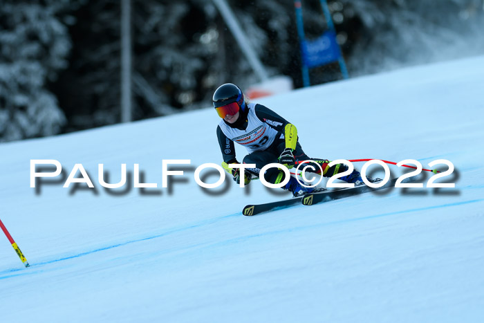 FIS AC NJC Damen + Herren Super-G