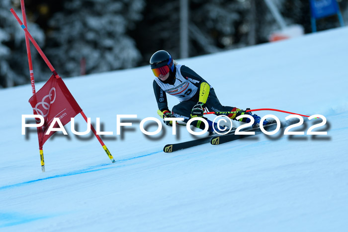 FIS AC NJC Damen + Herren Super-G