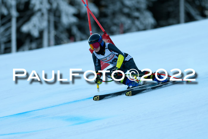 FIS AC NJC Damen + Herren Super-G