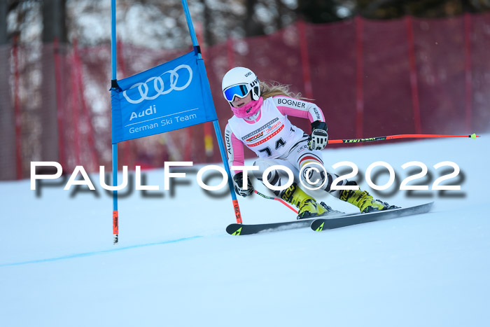 FIS AC NJC Damen + Herren Super-G