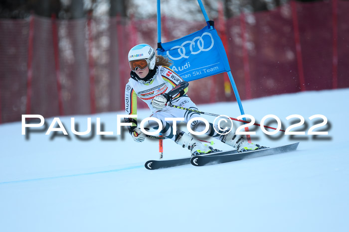 FIS AC NJC Damen + Herren Super-G