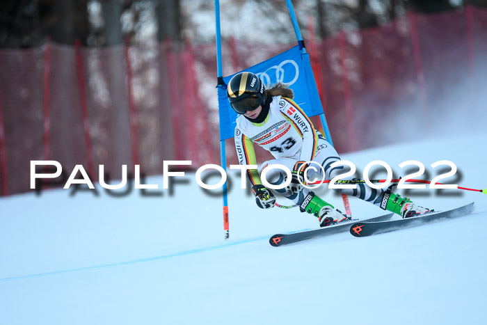 FIS AC NJC Damen + Herren Super-G