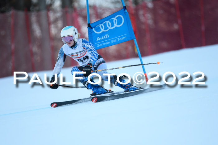 FIS AC NJC Damen + Herren Super-G