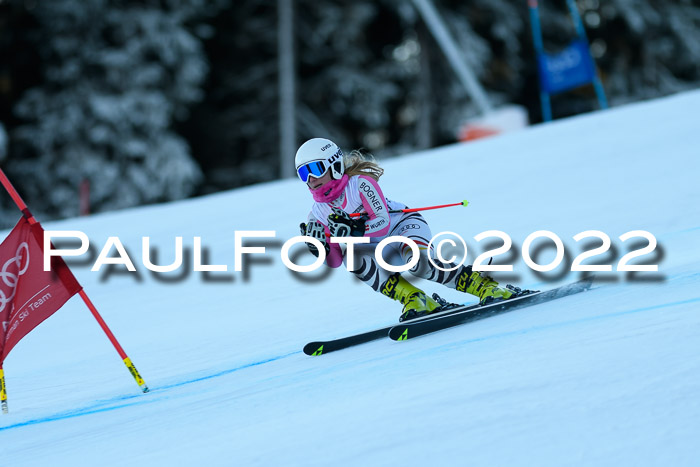 FIS AC NJC Damen + Herren Super-G