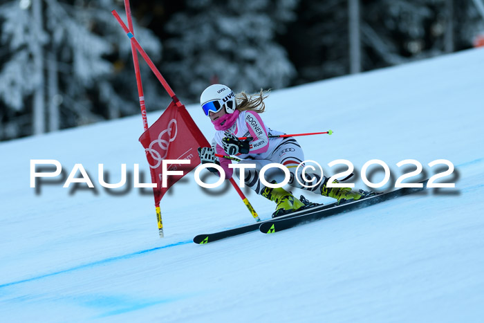 FIS AC NJC Damen + Herren Super-G