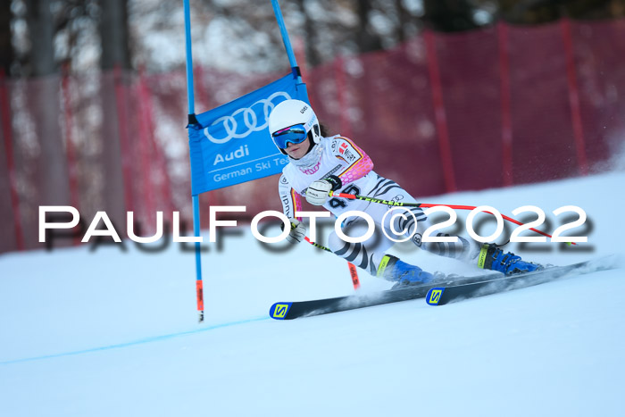 FIS AC NJC Damen + Herren Super-G