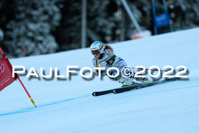 FIS AC NJC Damen + Herren Super-G