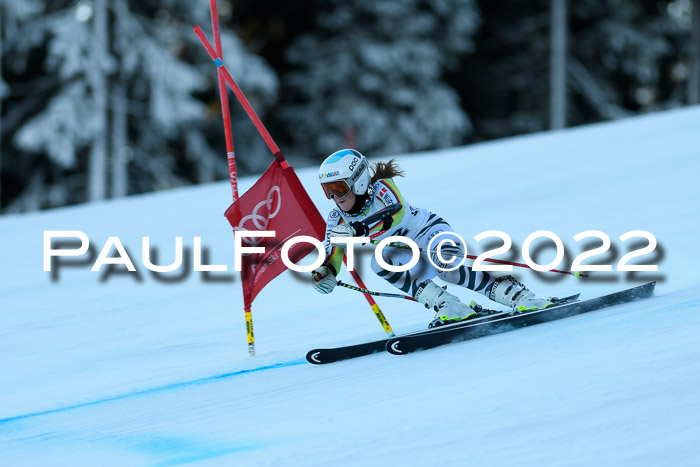 FIS AC NJC Damen + Herren Super-G