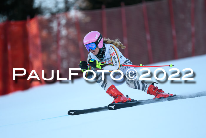 FIS AC NJC Damen + Herren Super-G