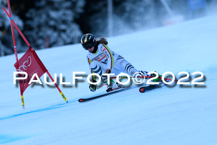 FIS AC NJC Damen + Herren Super-G