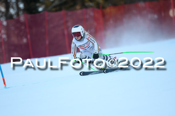 FIS AC NJC Damen + Herren Super-G