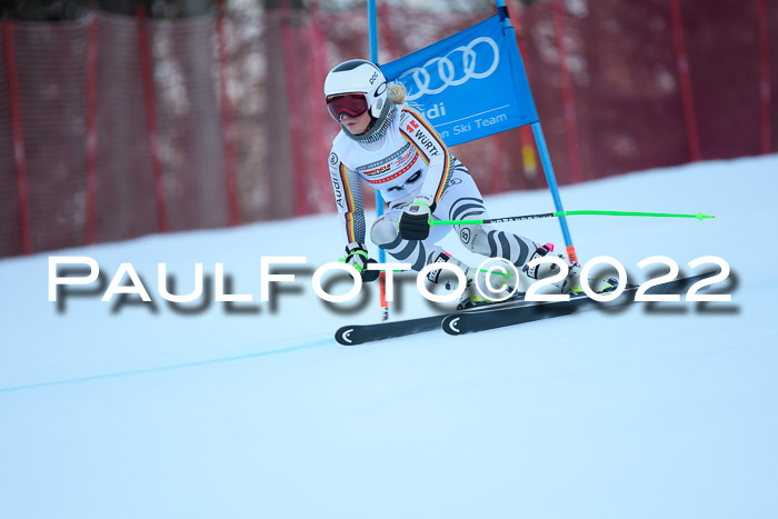 FIS AC NJC Damen + Herren Super-G