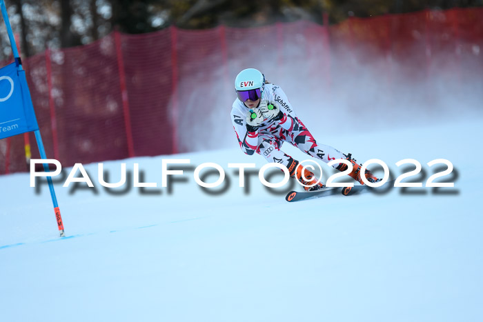 FIS AC NJC Damen + Herren Super-G