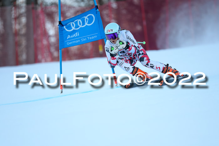 FIS AC NJC Damen + Herren Super-G