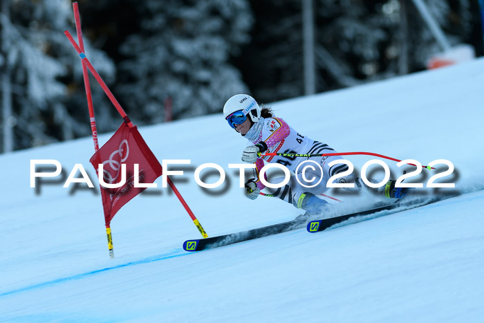 FIS AC NJC Damen + Herren Super-G
