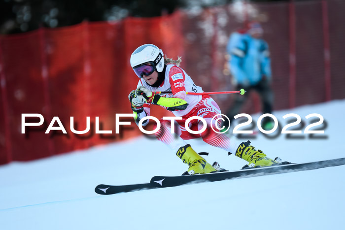 FIS AC NJC Damen + Herren Super-G