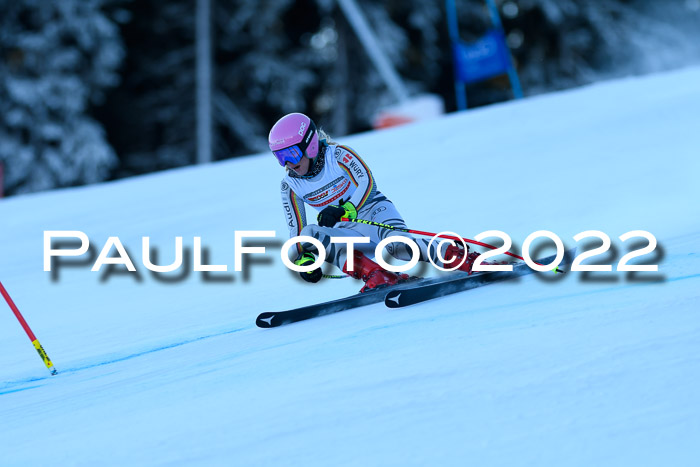 FIS AC NJC Damen + Herren Super-G