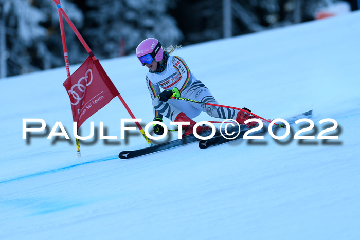 FIS AC NJC Damen + Herren Super-G