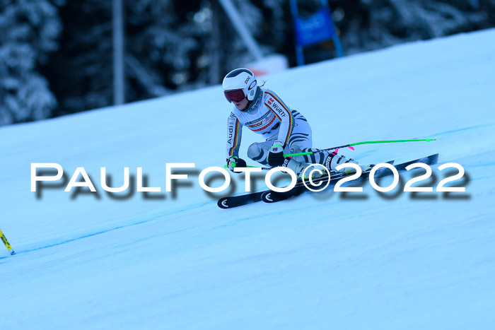 FIS AC NJC Damen + Herren Super-G