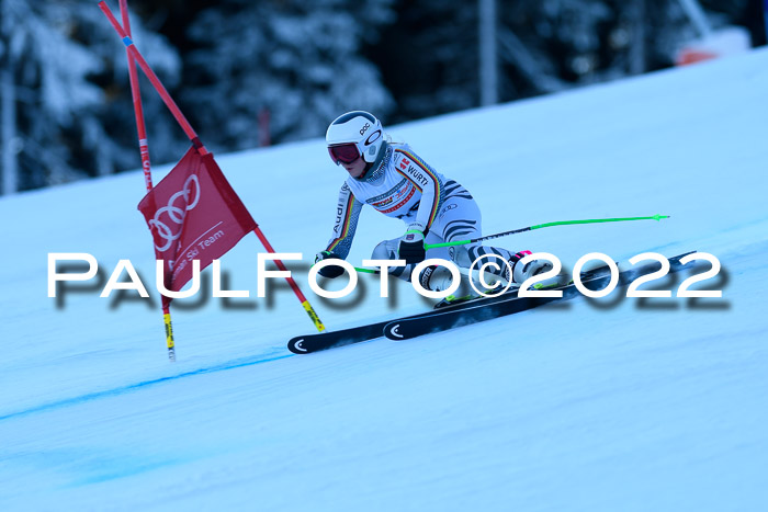 FIS AC NJC Damen + Herren Super-G