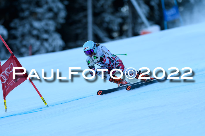 FIS AC NJC Damen + Herren Super-G