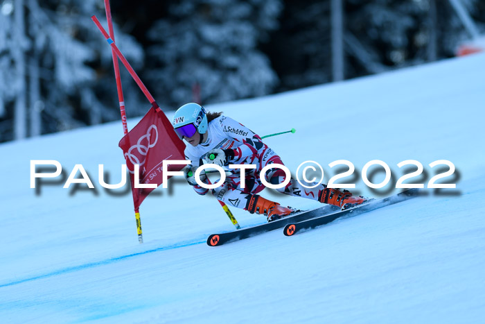 FIS AC NJC Damen + Herren Super-G