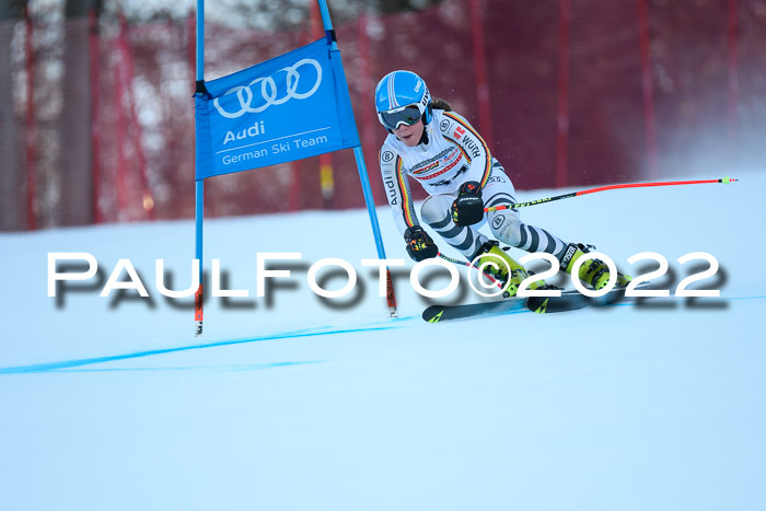 FIS AC NJC Damen + Herren Super-G