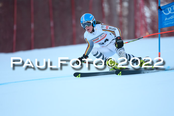 FIS AC NJC Damen + Herren Super-G