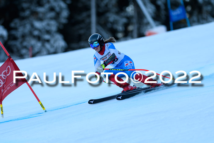 FIS AC NJC Damen + Herren Super-G