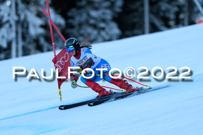 FIS AC NJC Damen + Herren Super-G