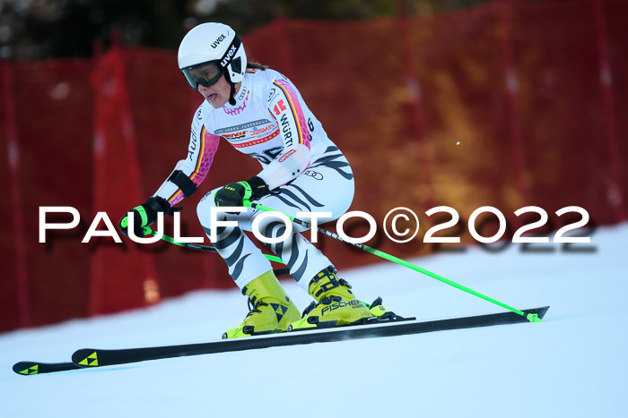 FIS AC NJC Damen + Herren Super-G