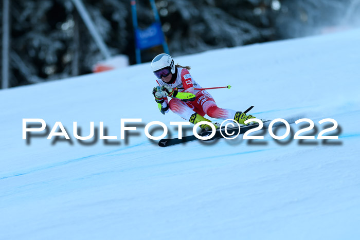 FIS AC NJC Damen + Herren Super-G