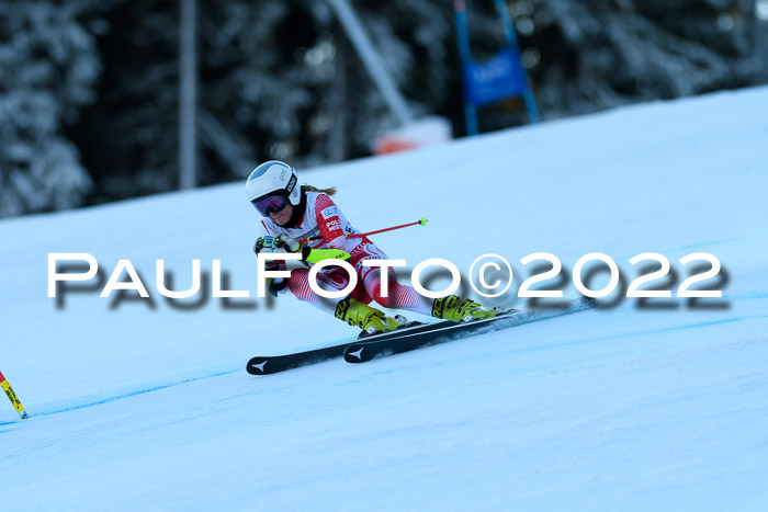 FIS AC NJC Damen + Herren Super-G