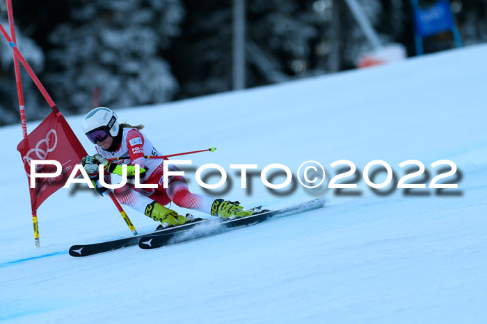 FIS AC NJC Damen + Herren Super-G