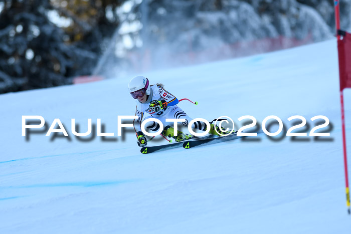 FIS AC NJC Damen + Herren Super-G